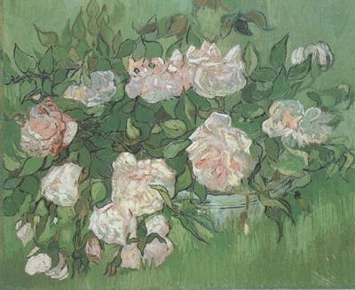 Vincent Van Gogh Still life:Pink Roses (nn04) oil painting image